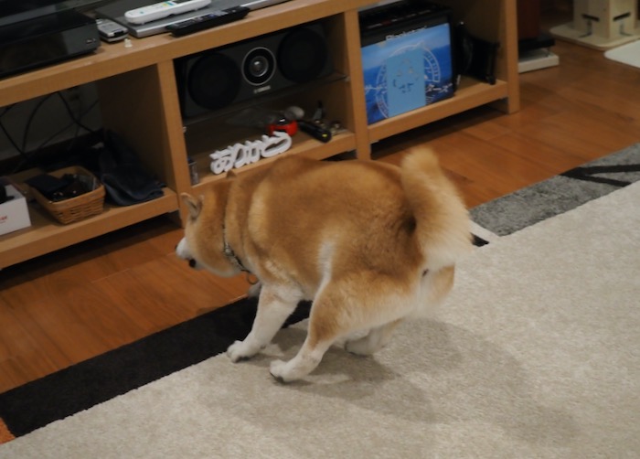 22日夕ブログ２２