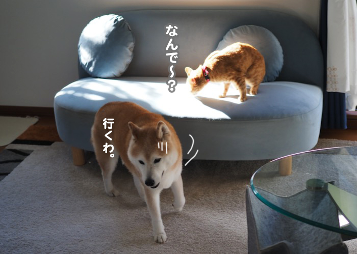 28日夕ブログ１１