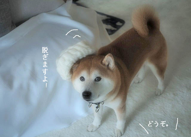 20日夜ブログ8