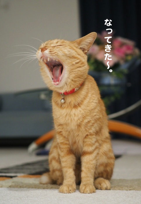 13日夕ブログ４