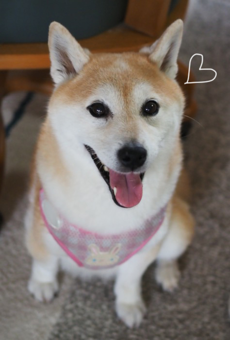 13日夕ブログ２０