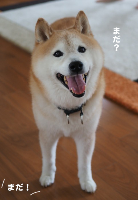 3日ブログ１