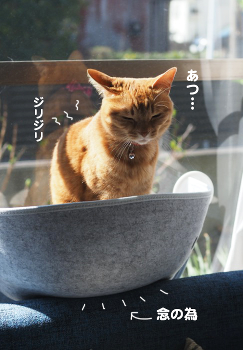 8日夕ブログ４