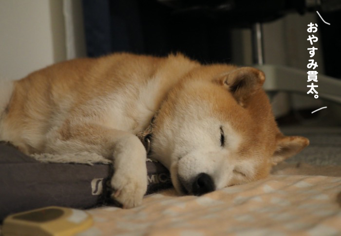 5日夜ブログ４
