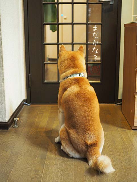 18日ブログ2
