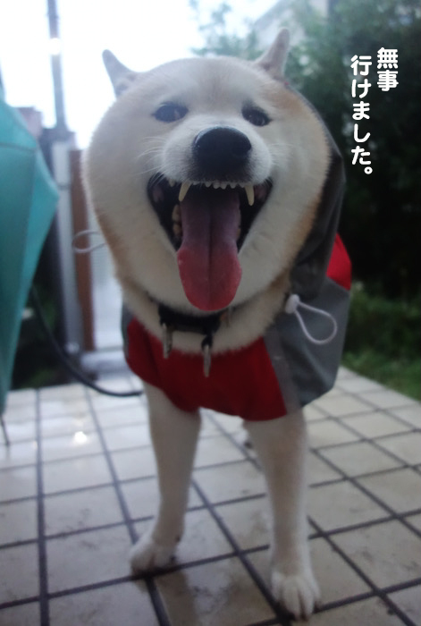 19日ブログ４