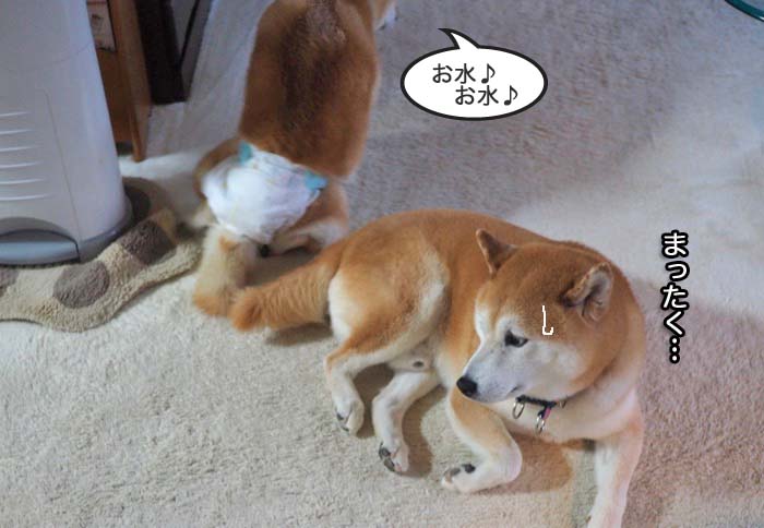 26日午後ブログ２７