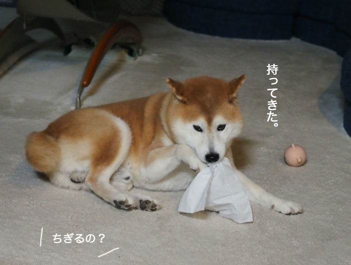 27日ブログ３