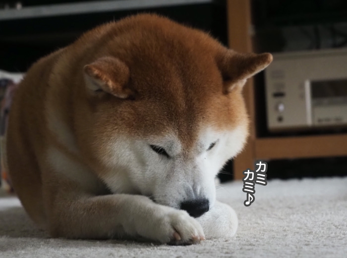 11日夜ブログ２