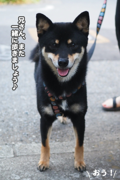 12日夜ブログ８