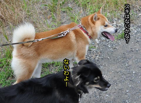 20日ブログ12.jpg