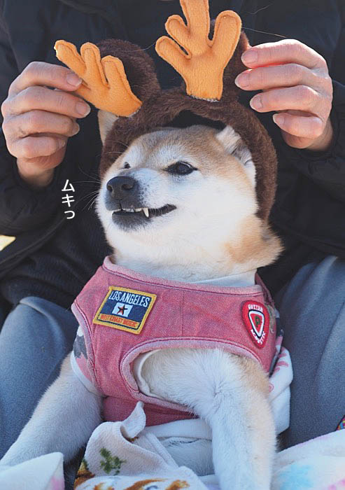 9日夜ブログ１