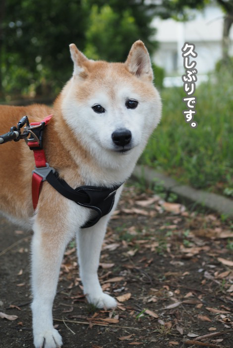 14日夕ブログ２