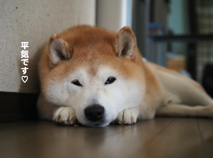 23日ブロ2