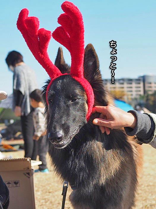 8日午後ブログ３