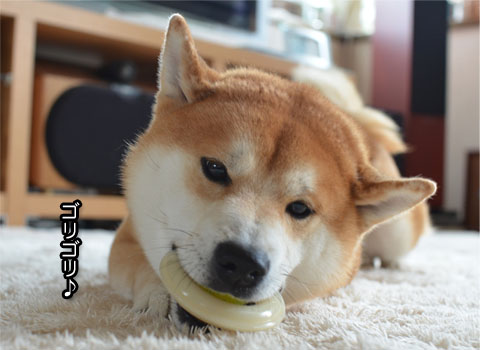 23日ブログ7.jpg