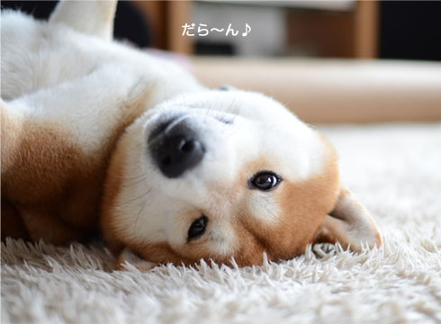 19日ブログ3.jpg
