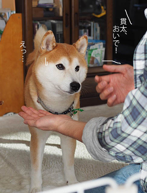 27日ブログ10
