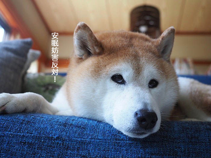 20日ブログ３