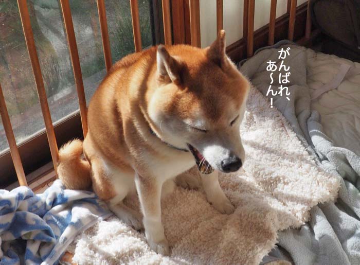 4日夜ブログ７