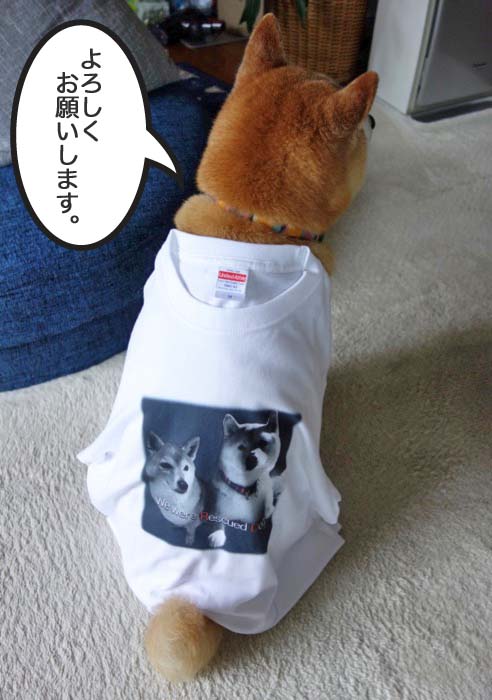 1日夜ブログ５