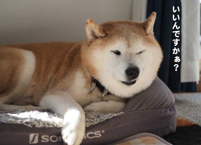 22日ブログ５