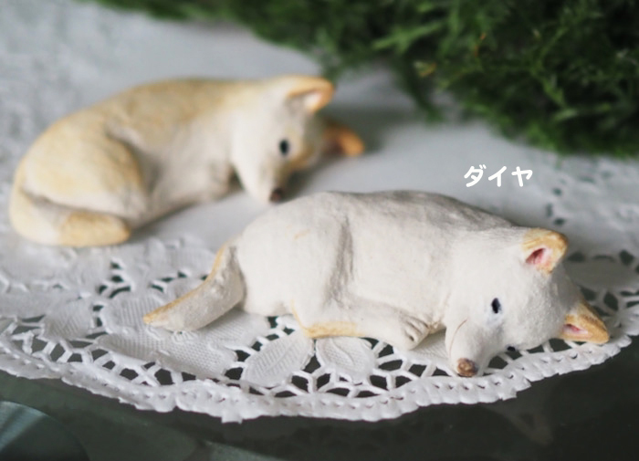 24日夕ブログ９