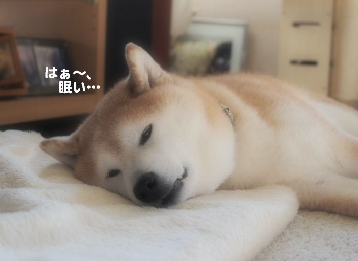 27日ブログ３