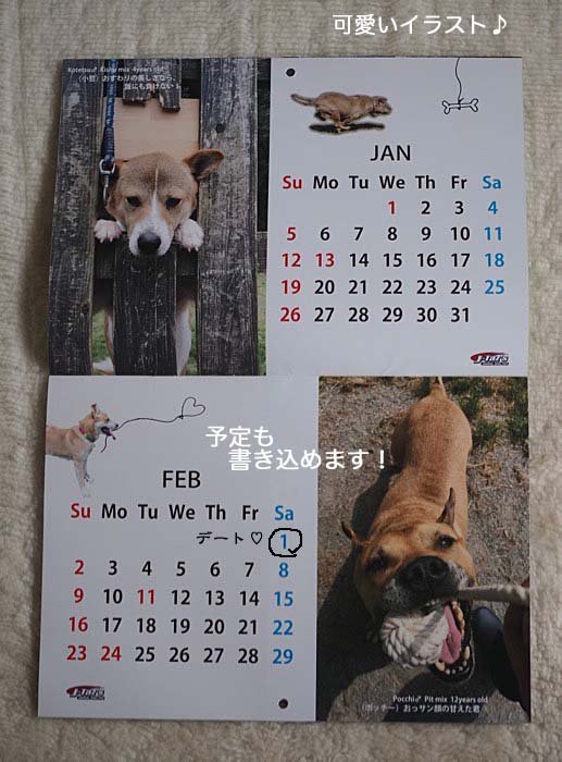 22日午前ブログ3