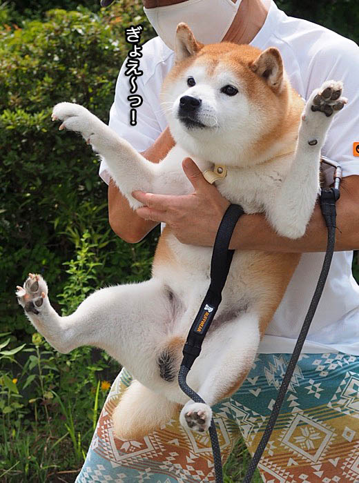 24日午後ブログ２