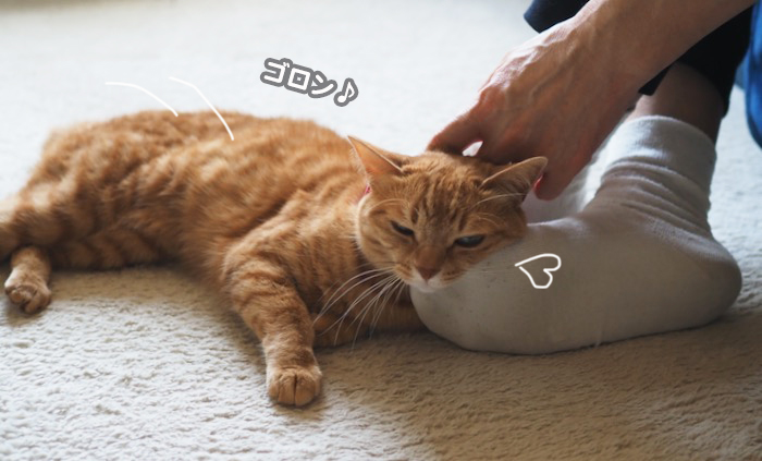6日夕ブログ２