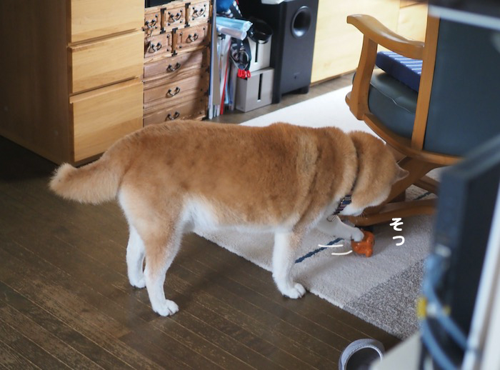 15日夕ブログ７
