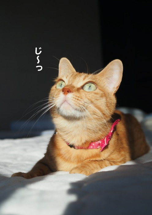 18日ブログ４