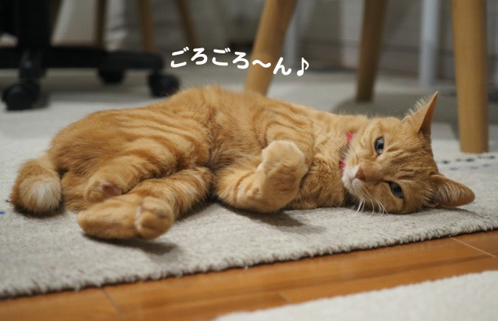 25日夕ブログ２