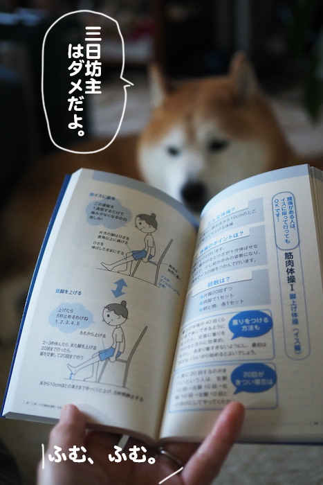 3日ブログ３