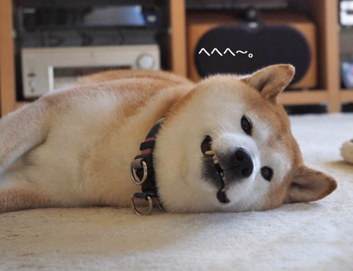 7日ブログ９