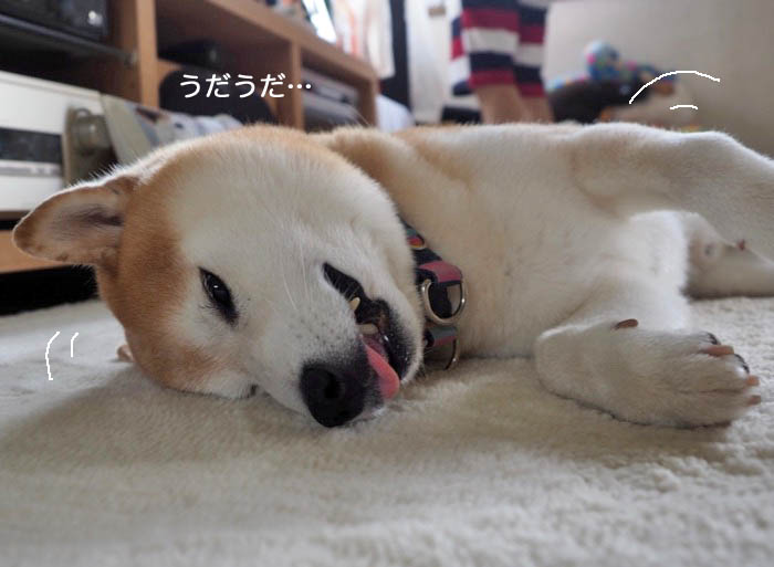 25日ブログ３