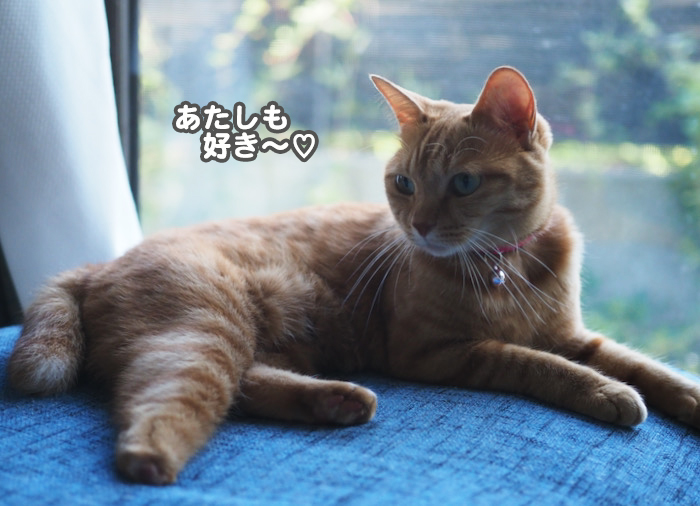 16日夕ブログ４