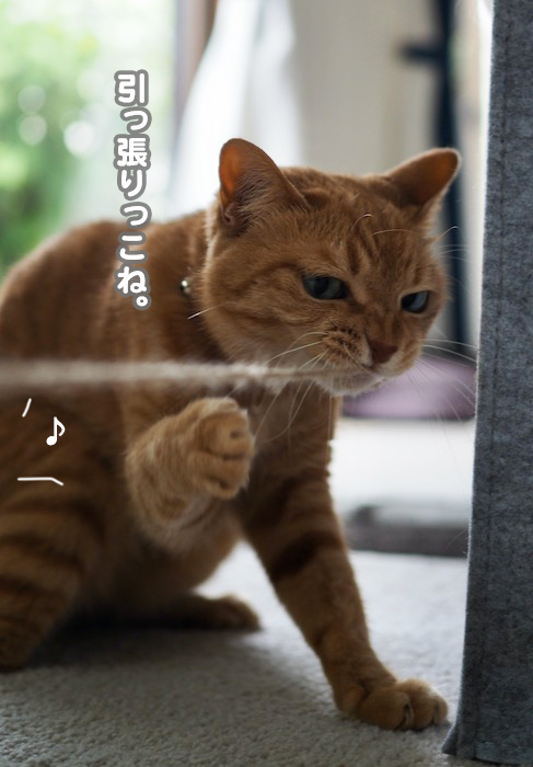 24日夕ブログ６