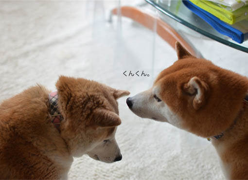 19日ブログ５.jpg