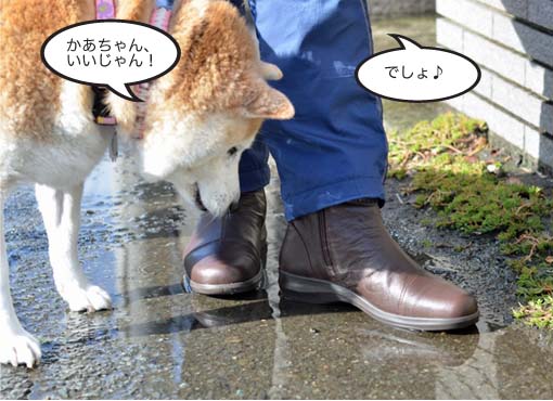 13日ブログ15.jpg