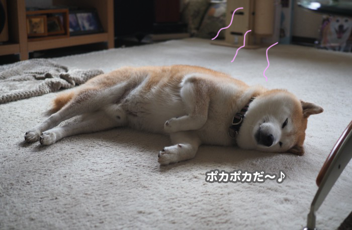 13日用ブログ3