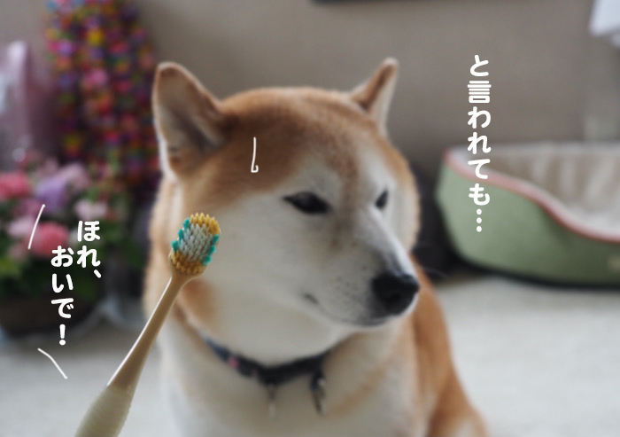 23日夕ブログ６