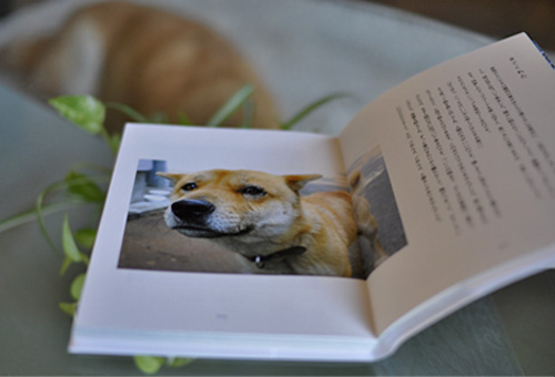 23日ブログ10.jpg