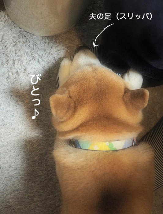 19日ブログ４