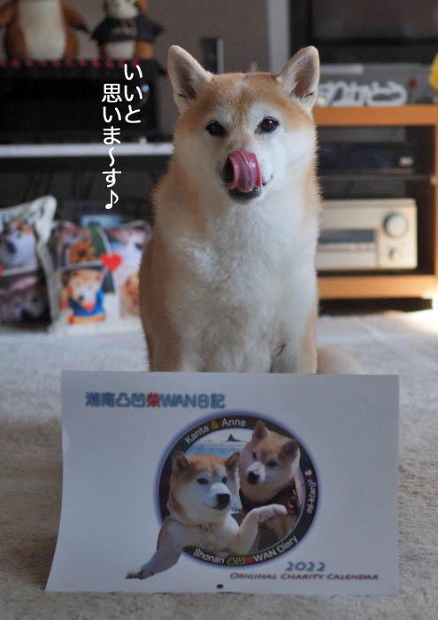 3日夕ブログ３