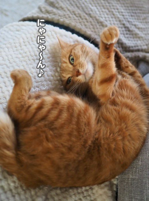19日夕ブログ３