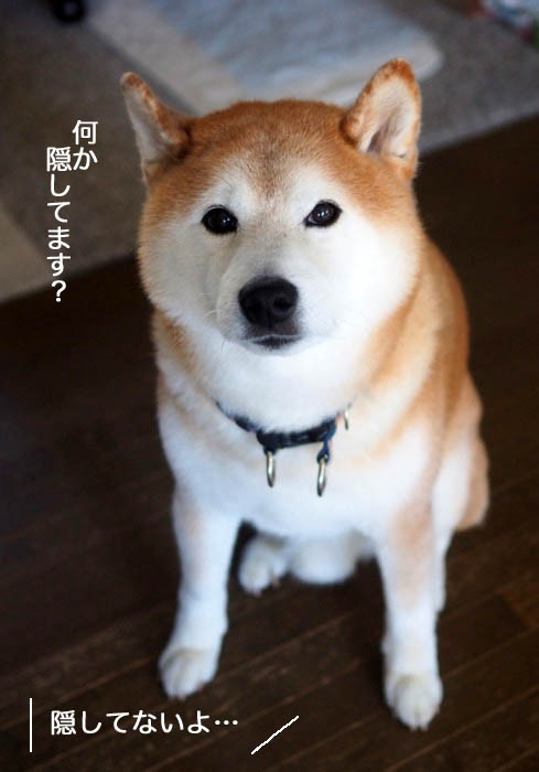 5日ブログ４