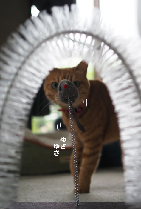 9日夕ブログ６