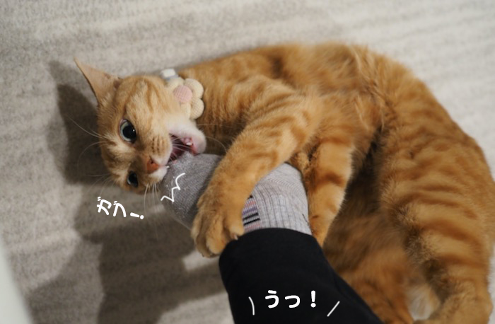 3日夕ブログ６